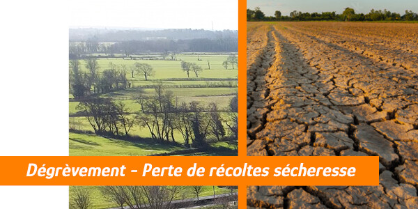 Dégrèvement - Perte de récoltes Image 1