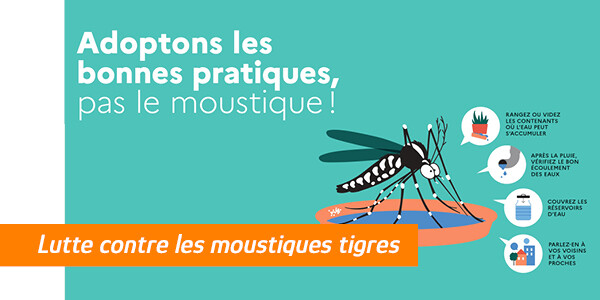 Les moustiques tigres sont de retour Image 1